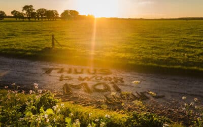 Focus op het Nedersaksisch